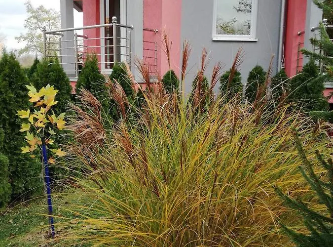 Stela Et Luna Daire Veliko Gradište